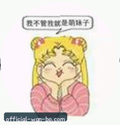 张磊